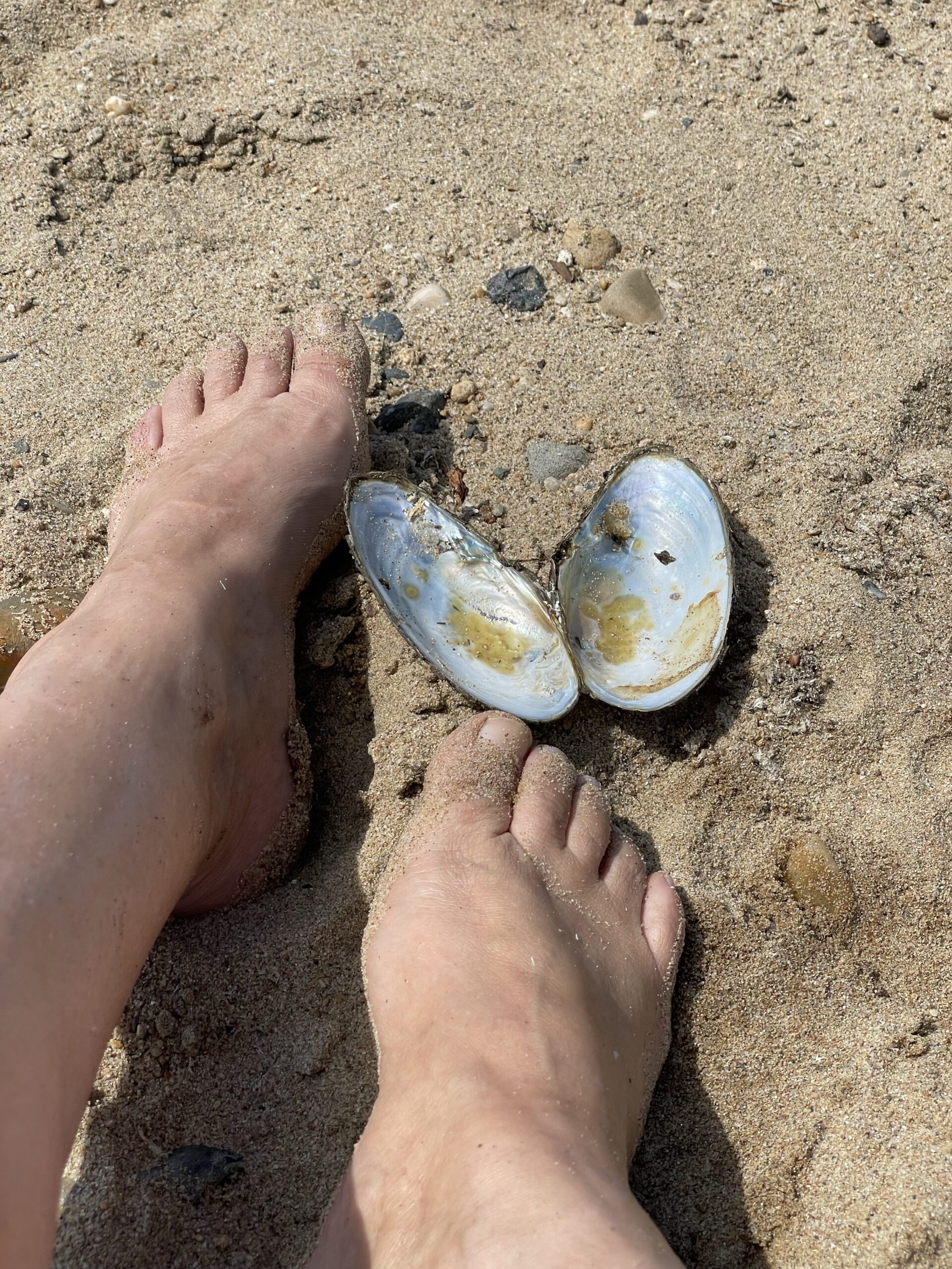 03. Juni 2022 – Tag 6 – Elbe und so