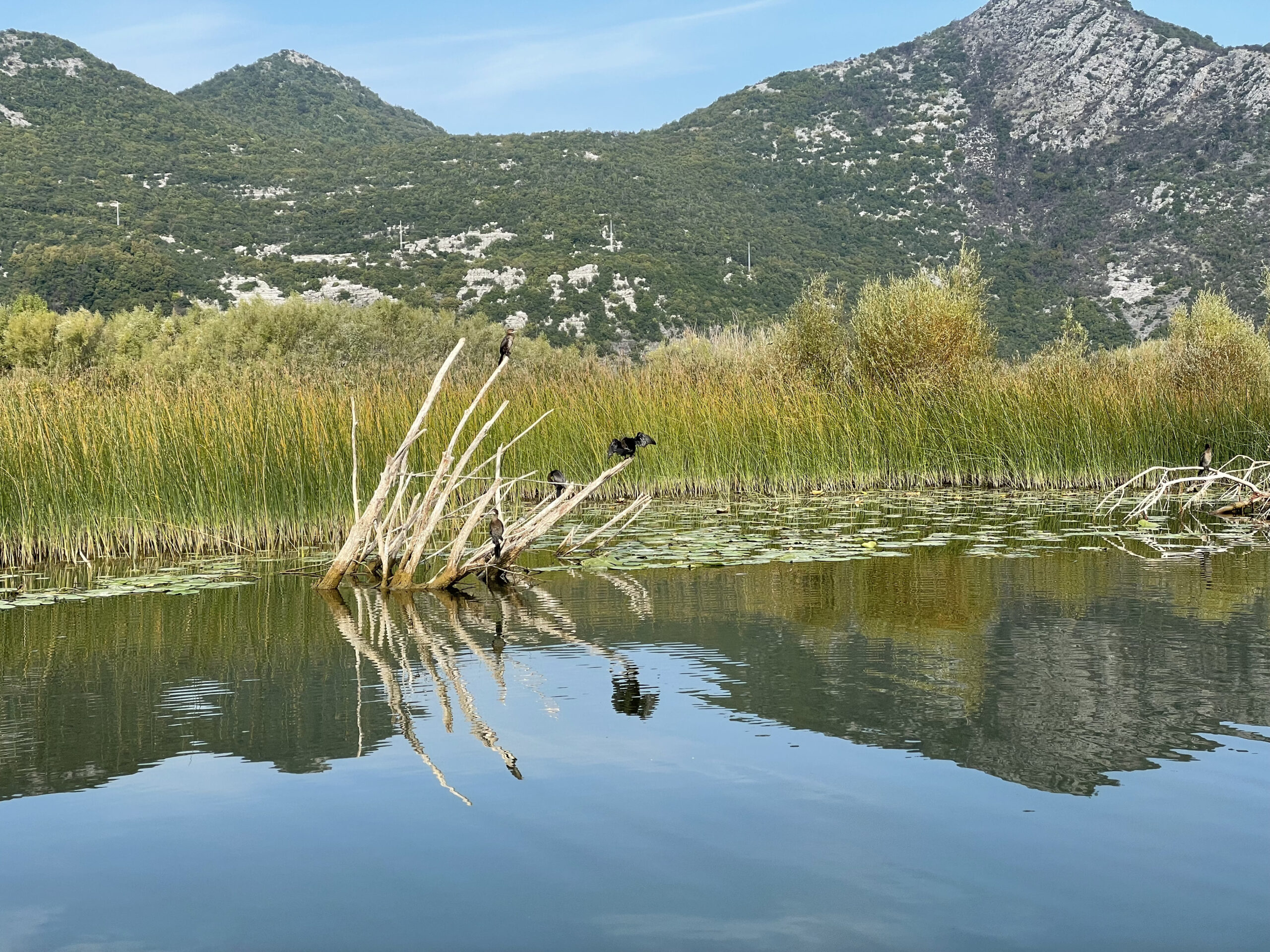 05. Oktober 2023 – Tag 16 – Flora und Fauna