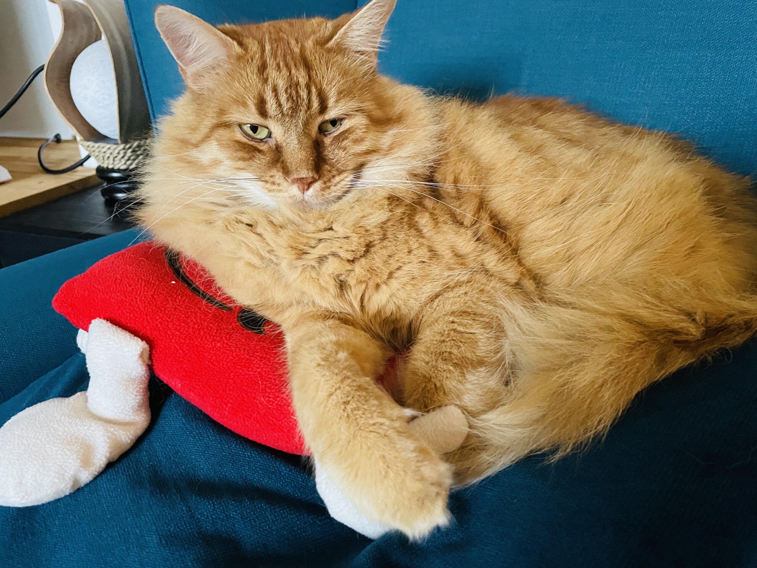 19. Oktober 2023 – Tag 30 – Finito!