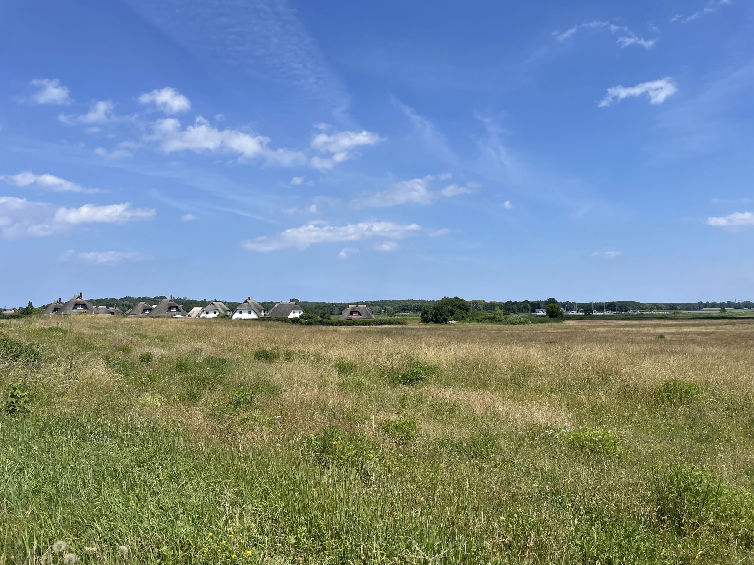 18. Juni 2024 – Tag 12 – Rundumschlag