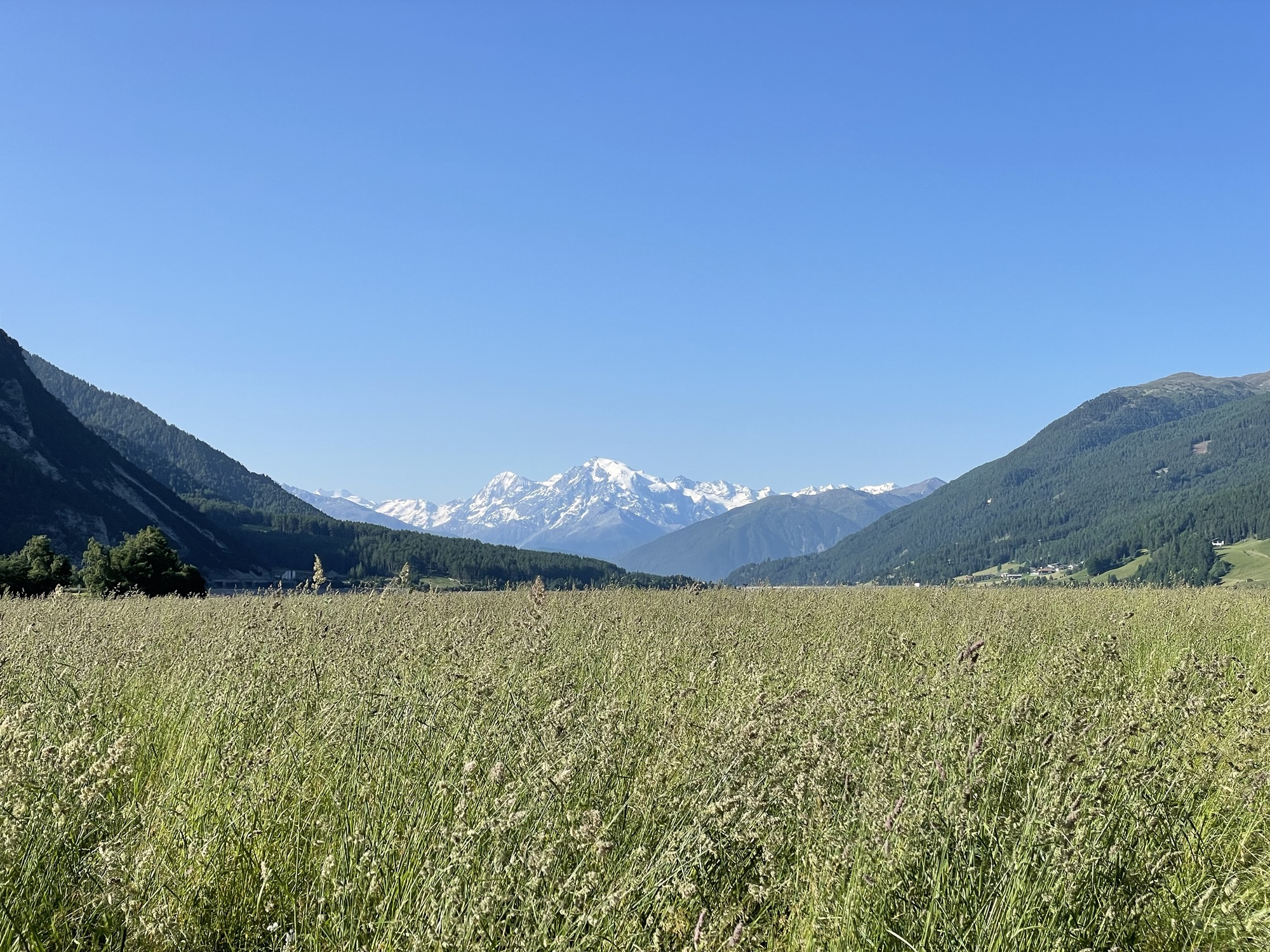 22. Juni 2025 – Tag 29 – Leider Finito